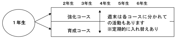 ジュニア